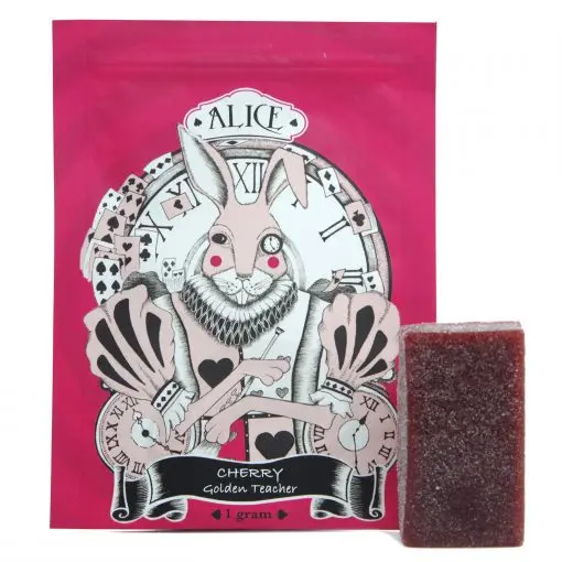 Alice Psilocybin Mushroom Gummy – Cherry (1000mg)